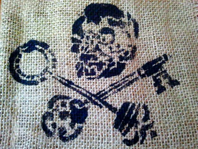 The OAA Pirate Flag. 