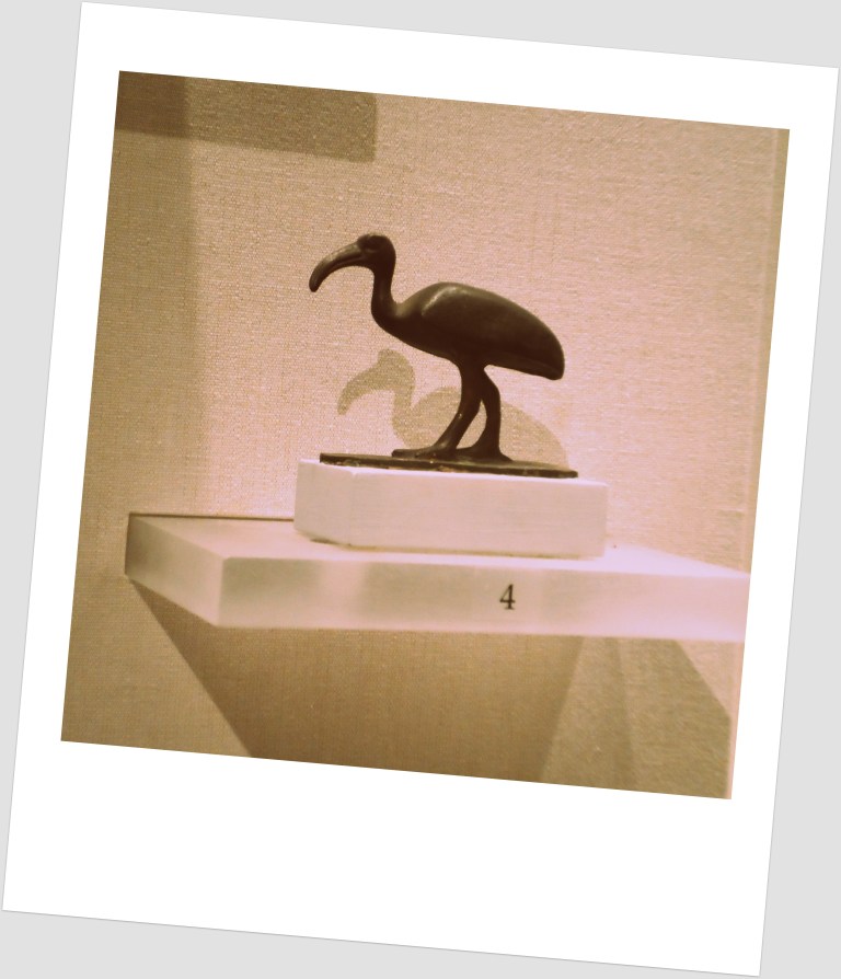 The Egyptian Thoth's sacred ibis. Thoth—god of wisdom, writing, science, and surveying (and therefore I maintain of archaeology). He was also the messenger god. I've a wrist tattoo of the ibis in honor of all of these things. 